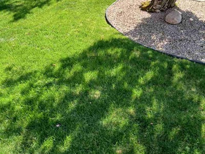 Lawn Care service in Champlin, 55316