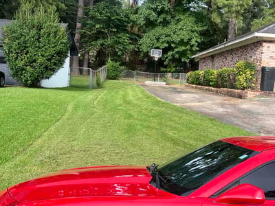 Lawn Care service in Jackson, 39201