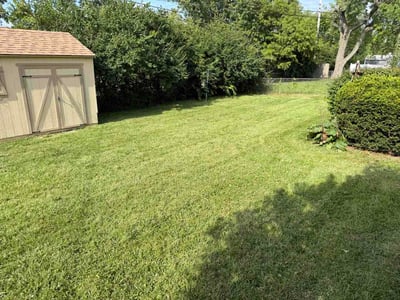 Lawn Care service in Exton, 19341