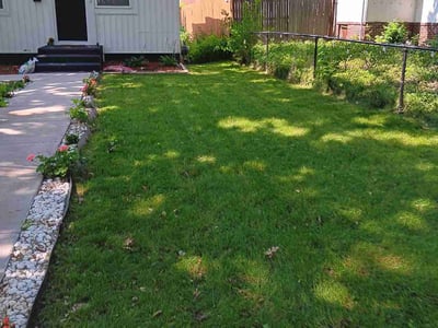 Lawn Care service in Twin Cities, 55406