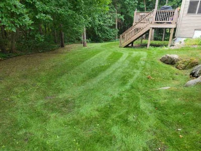 Lawn Care service in Brooklyn Park, 55443