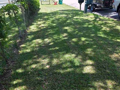 Lawn Care service in Inverness, 34452
