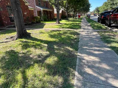 Lawn Care service in Mission, 78572