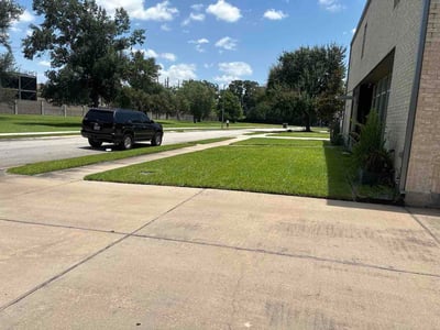 Lawn Care service in Edinburg, 78539