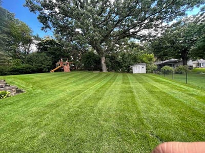 Lawn Care service in New Hope, 55428