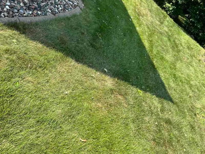 Lawn Care service in New Hope, 55428