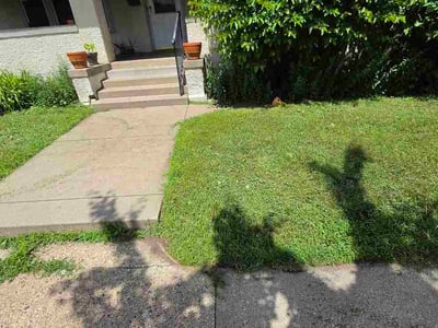 Lawn Care service in North Branch, 55056