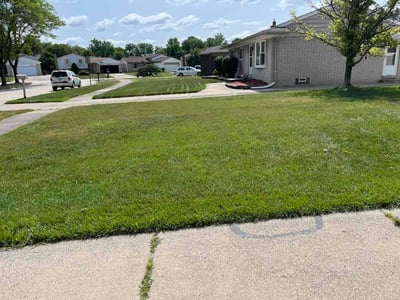 Lawn Care service in Sterling Heights, 48312