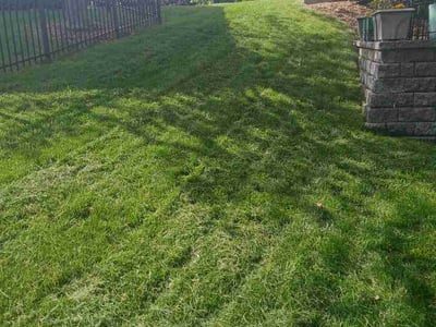 Lawn Care service in Eagan, 55123