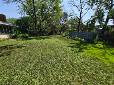 Lawn Care service in Saint Michael, 55376