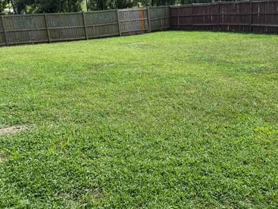 Lawn Care service in Mission, 66202