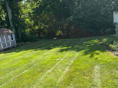 Lawn Care service in Holyoke, 01040