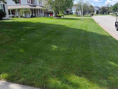 Lawn Care service in Grandville, 49418