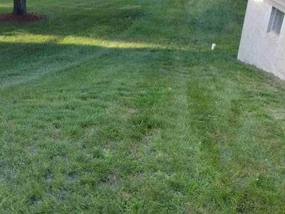 Lawn Care service in Golden Valley, 55422