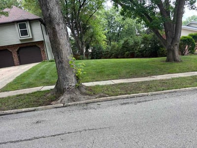Lawn Care service in San Pedro, 90731