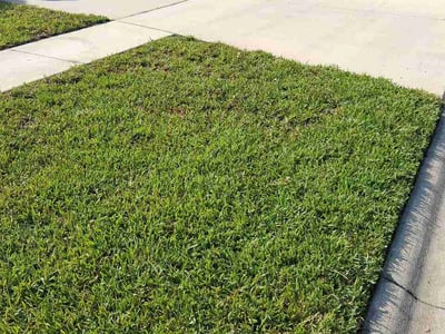 Lawn Care service in Fleming Island, 32003
