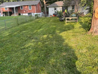 Lawn Care service in Grain Valley, 64029