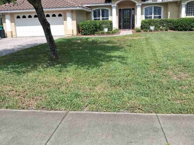 Lawn Care service in Melbourne, 32901