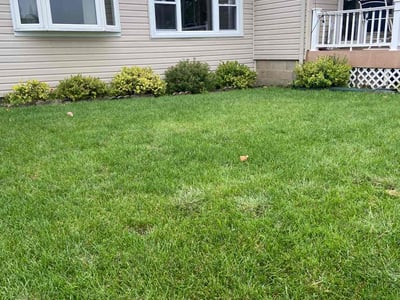 Lawn Care service in West Bloomfield, 48323