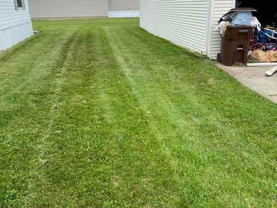 Lawn Care service in Grand Ledge, 48837
