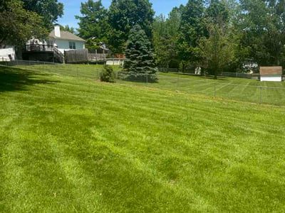 Lawn Care service in Paola, 66071