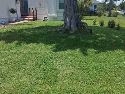 Lawn Care service in Atlantic Beach, 32233