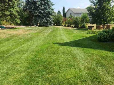 Lawn Care service in Savage, 55378