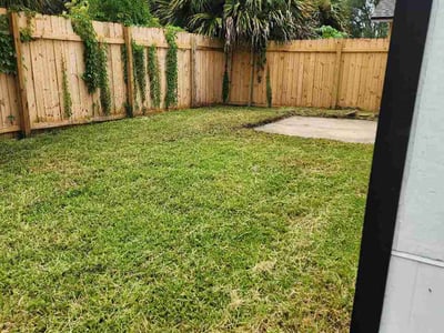Lawn Care service in Jacksonville, 32202