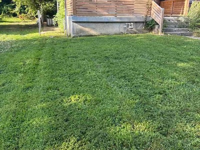 Lawn Care service in Raymore, 64083