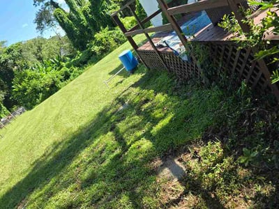 Lawn Care service in Green Cove Springs, 32043