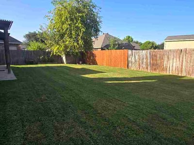 Lawn Care service in Azle, 76020