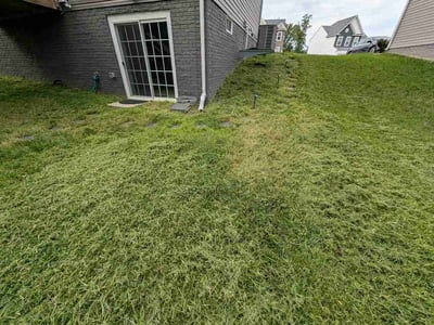 Lawn Care service in Burke, 22009