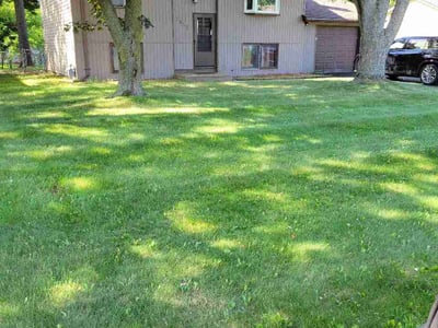 Lawn Care service in Inver Grove Heights, 55076
