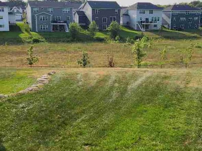Lawn Care service in Inver Grove Heights, 55076
