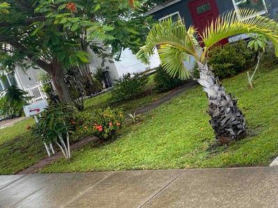 Lawn Care service in Hollywood, 33020
