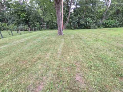 Lawn Care service in Bloomington, 55431