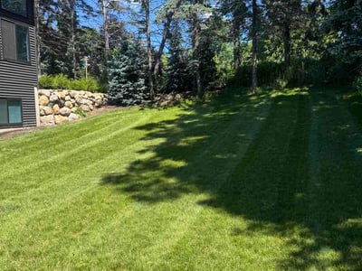 Lawn Care service in Grand Rapids, 49503
