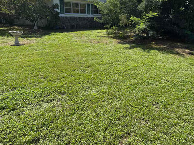 Lawn Care service in Sarasota, 34236
