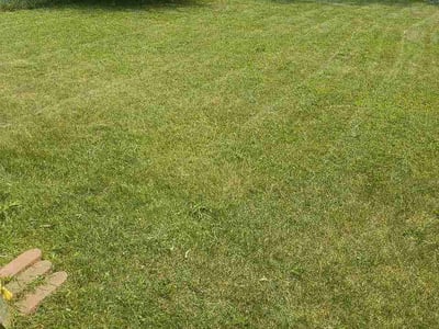 Lawn Care service in Northville, 48167