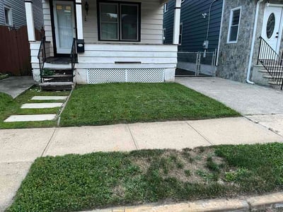 Lawn Care service in Trenton, 08608