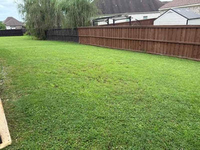 Lawn Care service in Northport, 35476