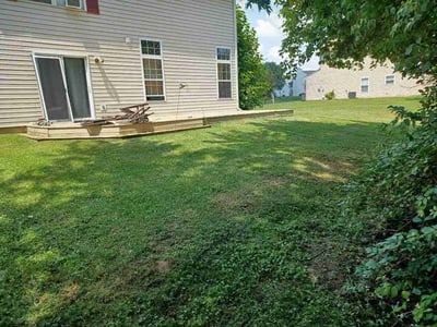 Lawn Care service in Lebanon, 46052