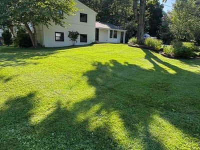 Lawn Care service in Chevy Chase, 20815