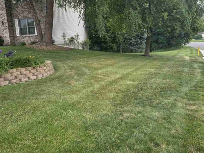 Lawn Care service in Hastings, 55033