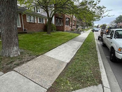 Lawn Care service in Ferndale, 48220