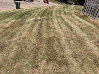 Lawn Care service in Eaton Rapids, 48827