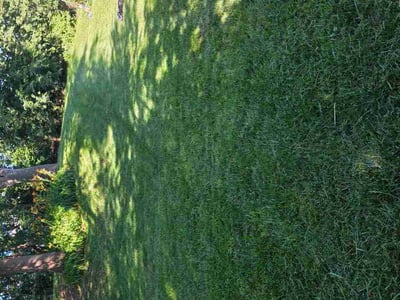 Lawn Care service in Trumbull, 06611