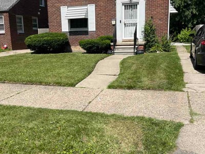 Lawn Care service in Detroit, 48226