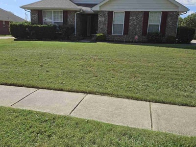 Lawn Care service in Madison, 35758