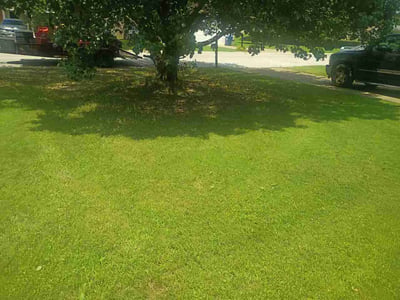 Lawn Care service in Senatobia, 38668